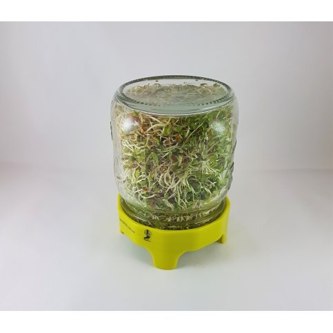 Sprouting Lid (Freestanding Drainage)