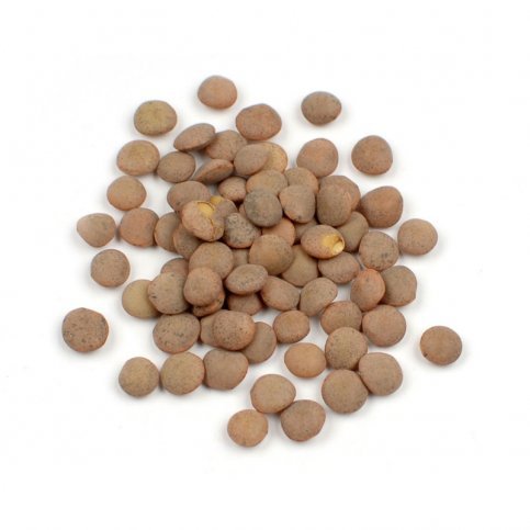 Lentils, Brown (organic) - 3.5kg & 10kg