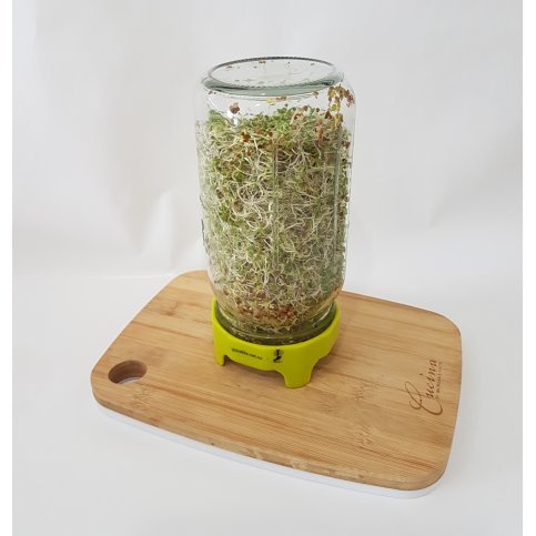 Sprouting Lid (Freestanding Drainage)