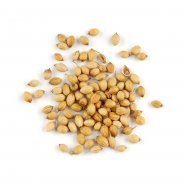 Coriander, Whole Seeds (Organic) - 500g, 1kg & 3kg