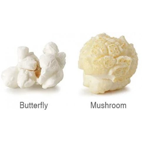 Mushroom Popping Corn (Kernels, NZ Grown) - 500g & 1kg