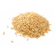 Wheat Grain for Milling and Sprouting (Ceres, NZ organic) - 1kg