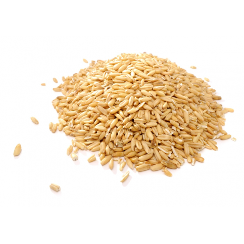 Wheat Grain for Milling or Sprouting (NZ Organic, Hard wheat, Good for bread, Bulk) - 25kg