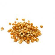 Mushroom Popping Corn (Kernels, NZ Grown) - 500g & 1kg
