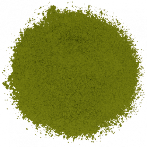Matcha Powder (organic, bulk) - 500g & 2kg