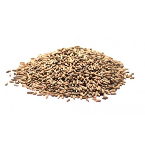 Rye Grain (Organic, Bulk) - 25kg
