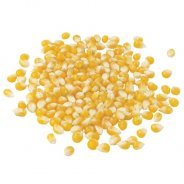 Popping Corn (Organic, NZ Grown, Bulk) - 3kg & 25kg