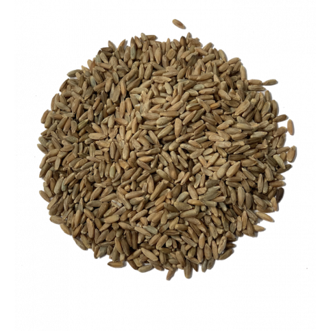 Rye Grain (NZ organic) - 1kg & 5kg