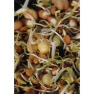 Sprouting Stir Fry Blend (Organic) - 500g & 1kg